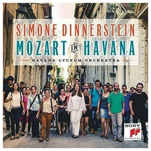diversevinyl3168371