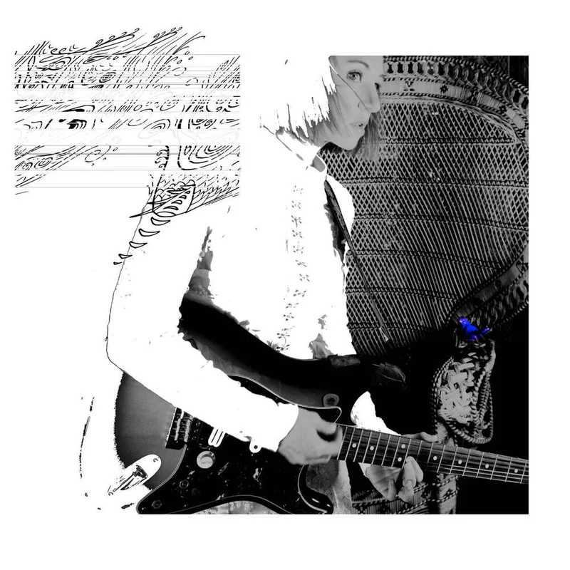 diversevinyl3179695