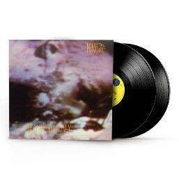 diversevinyl3190529