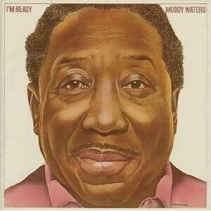 diversevinyl3194833