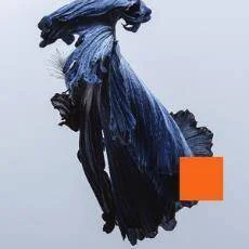 diversevinyl3224691