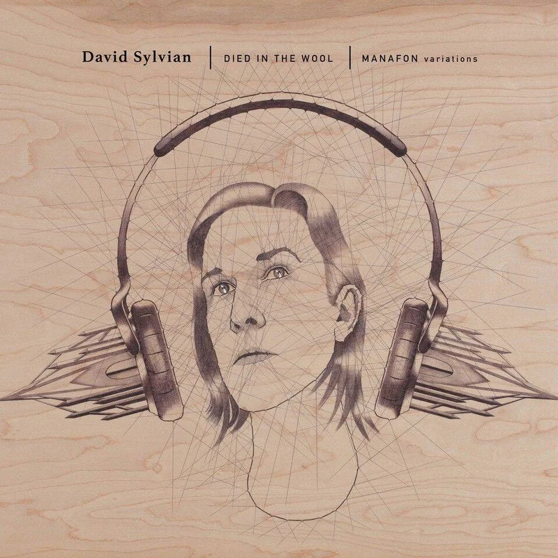 diversevinyl3244276