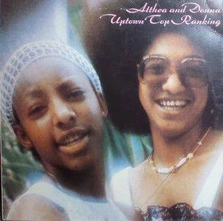 diversevinyl3261429