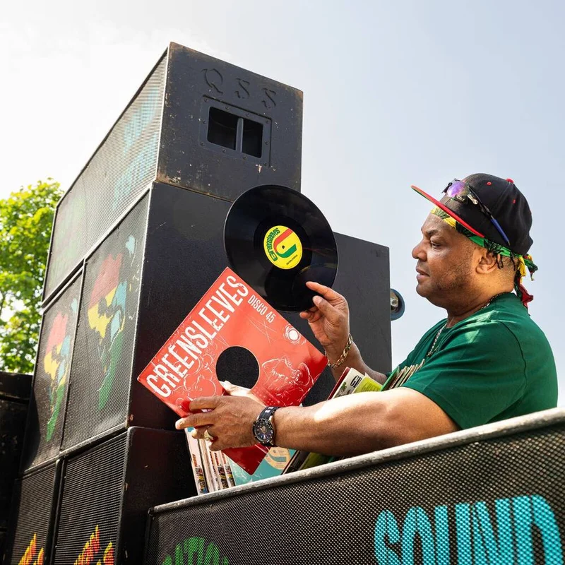diversevinyl3275592