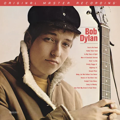 diversevinyl3288676