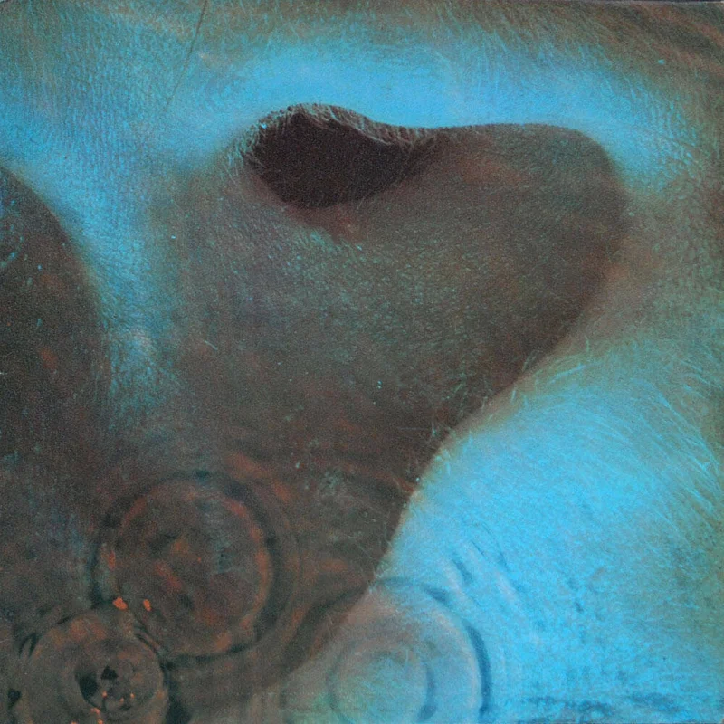 diversevinyl3294010