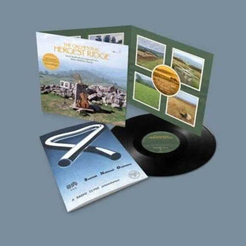 diversevinyl3304467
