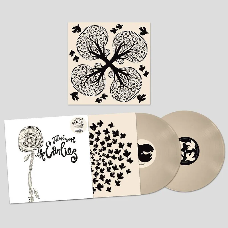 diversevinyl3312795