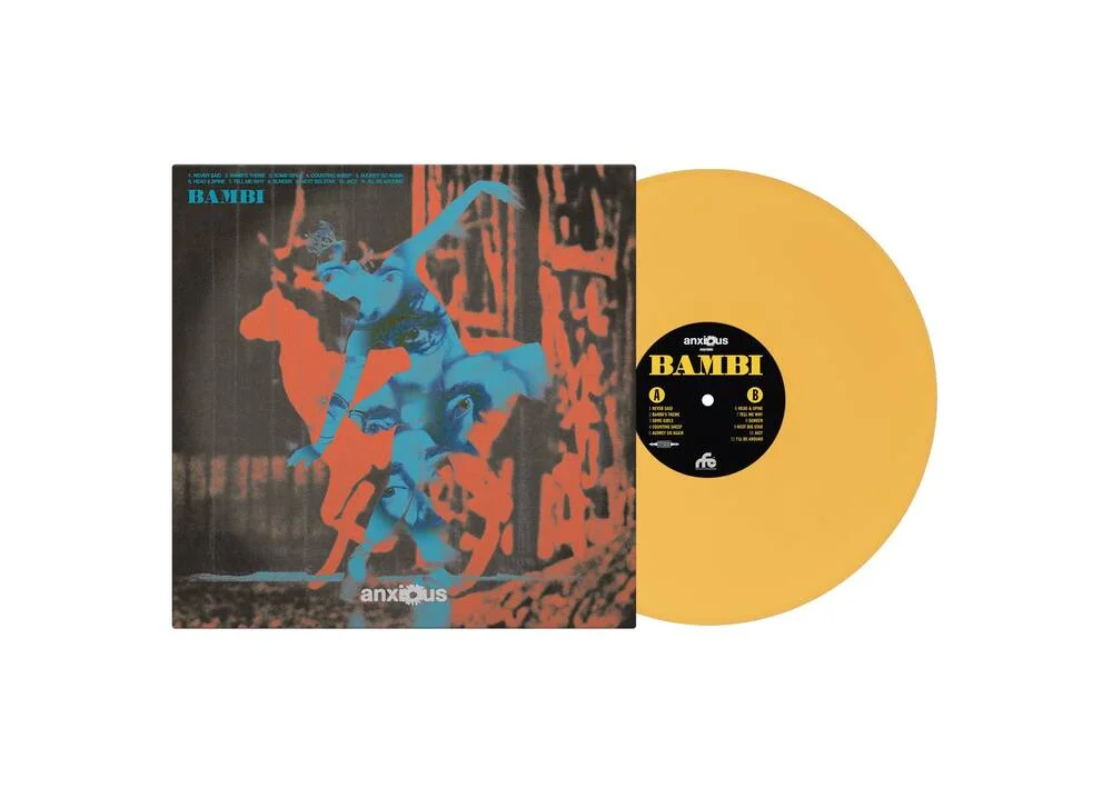 diversevinyl3313253