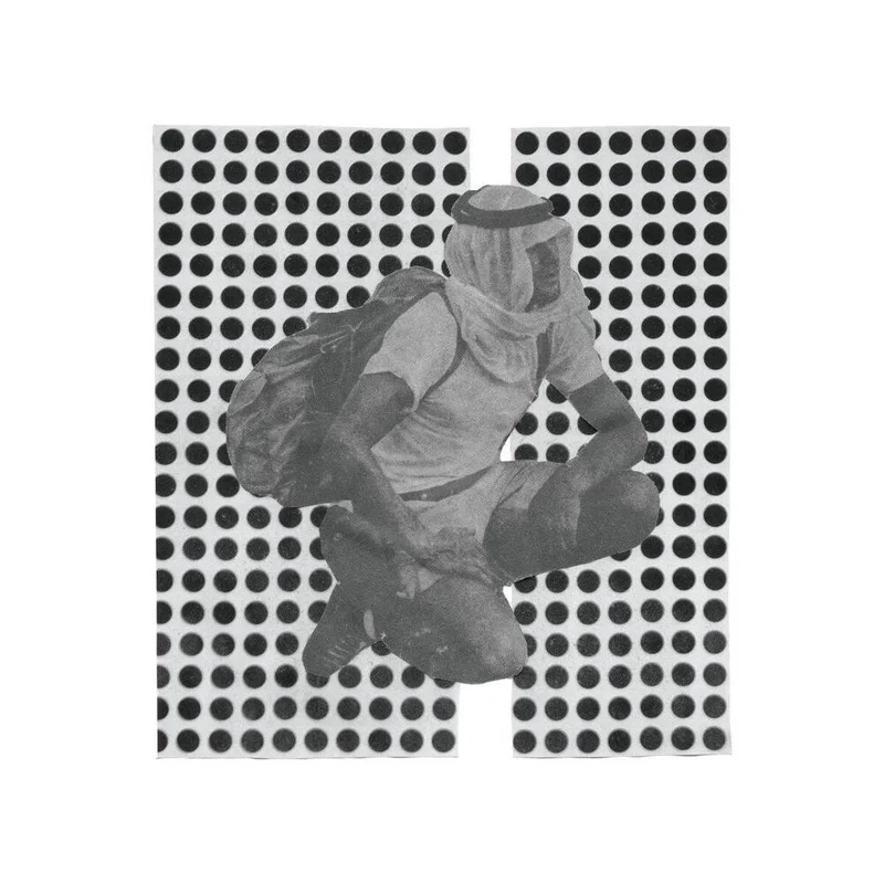 diversevinyl3329619