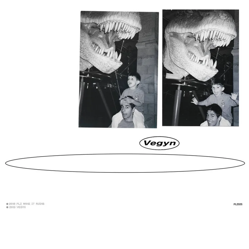 diversevinyl3343827