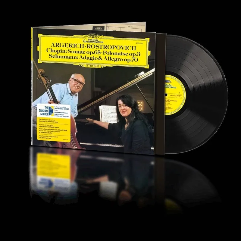 diversevinyl3353455