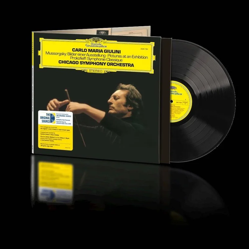diversevinyl3353471