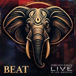 diversevinyl3355460