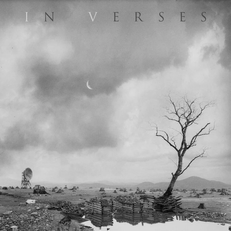 diversevinyl3361969