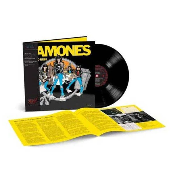 diversevinyl3416548