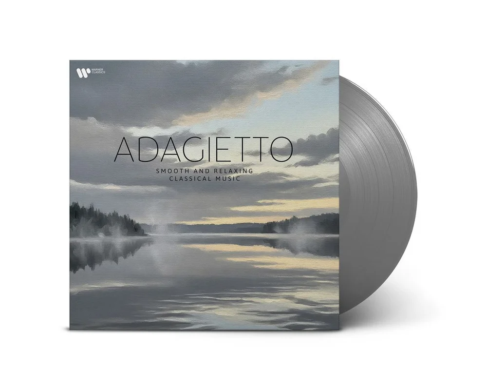 diversevinyl3430107