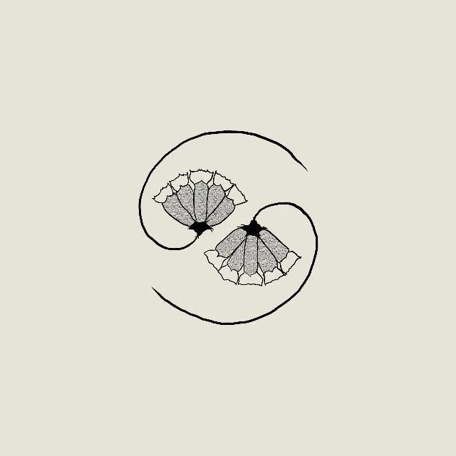 hundredrecords2594220