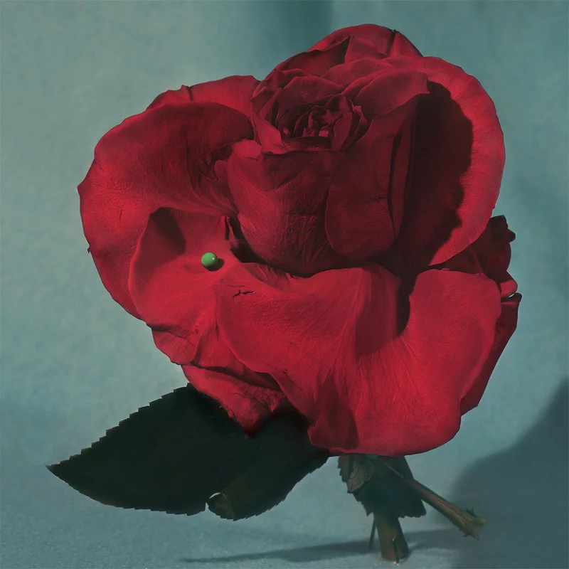 hundredrecords2629791