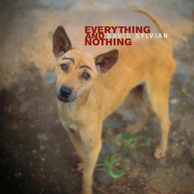 hundredrecords2638126