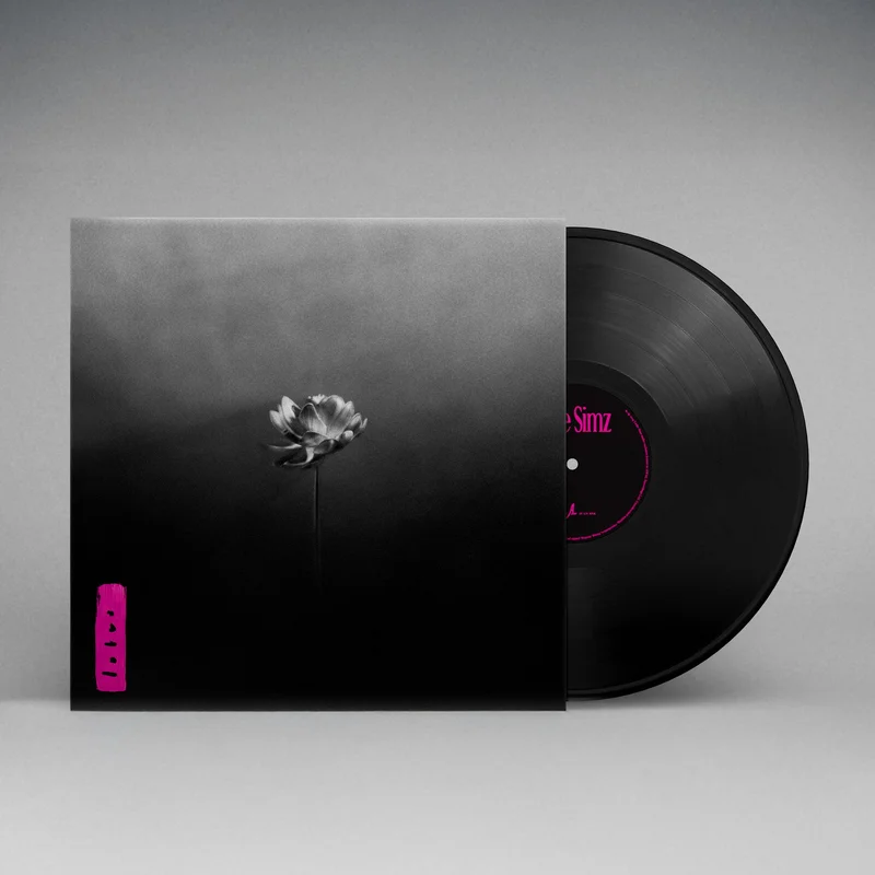 hundredrecords2663849