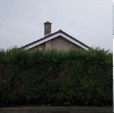 hundredrecords2666127