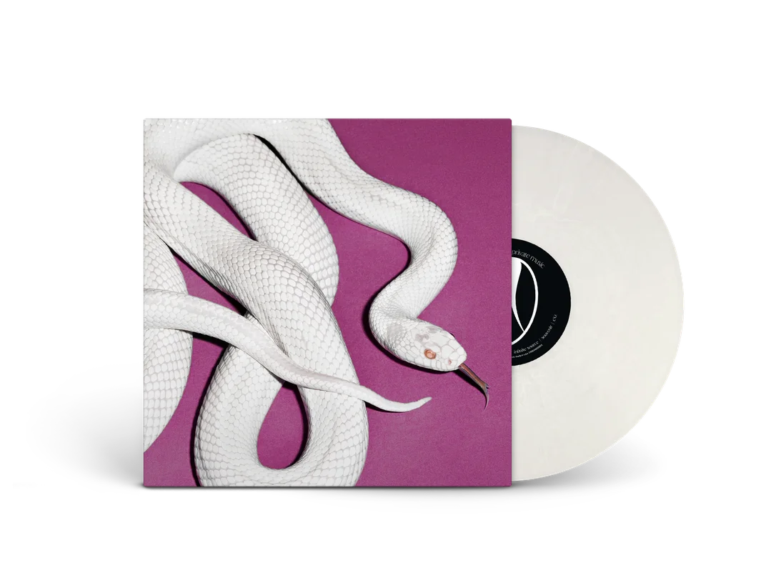 hundredrecords2680986