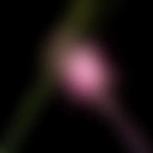 hundredrecords2690841