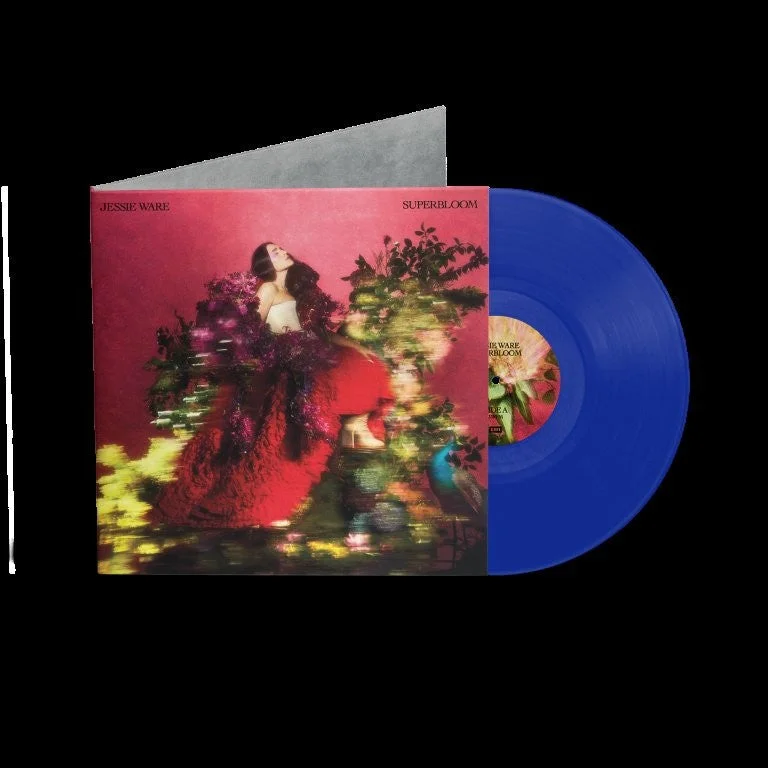 hundredrecords2696897