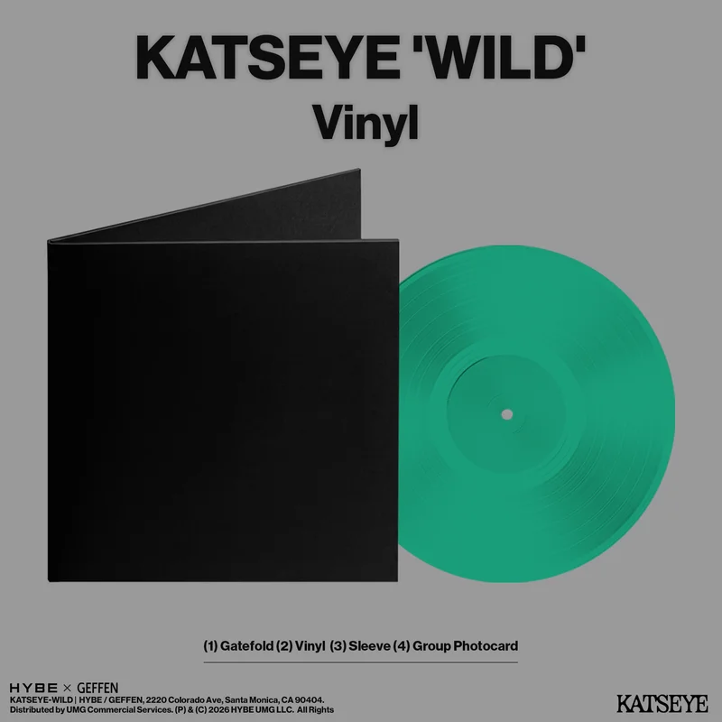 hundredrecords2703718