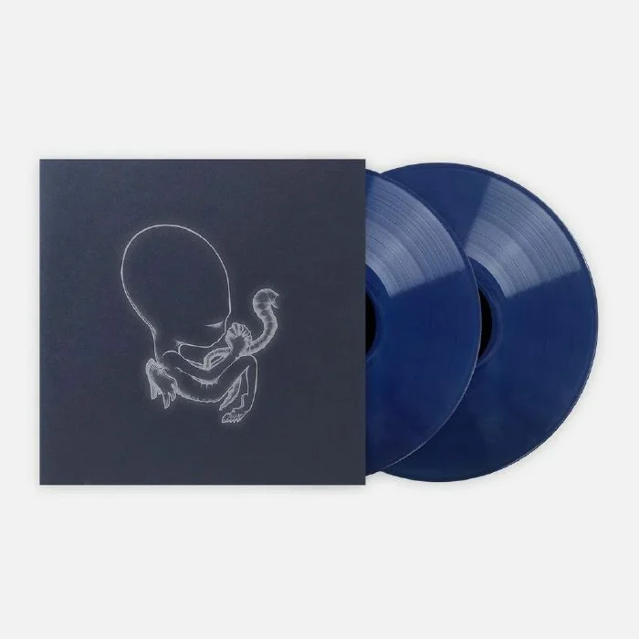 jwrayrecords2706608