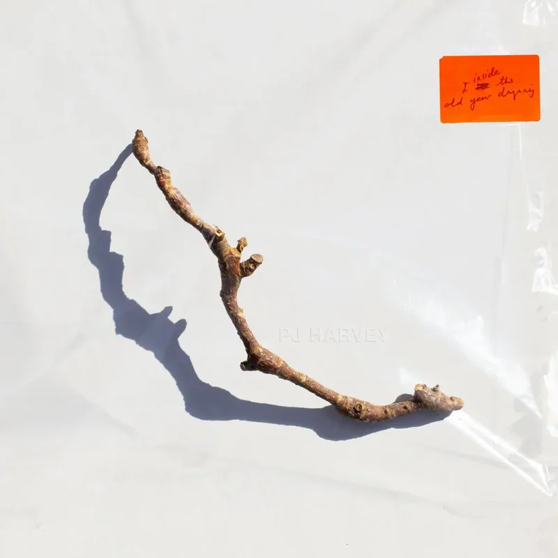 milkrecords2591033