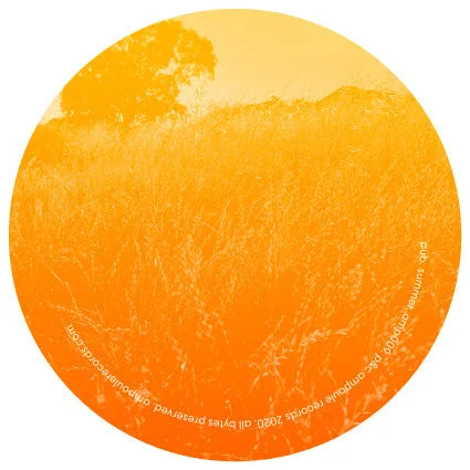 vinylunderground2550719