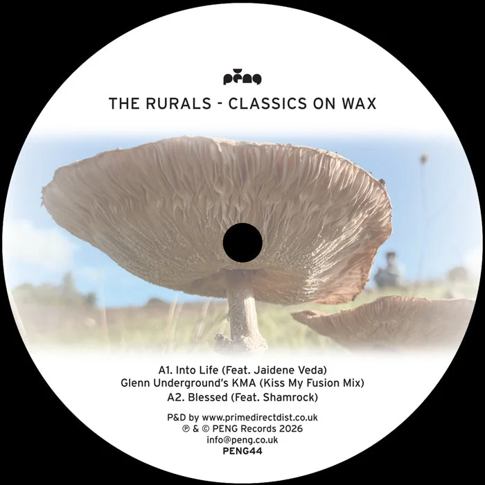 vinylunderground2620520
