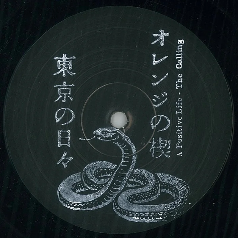 vinylunderground2625246